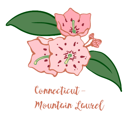 Mountain Laurel